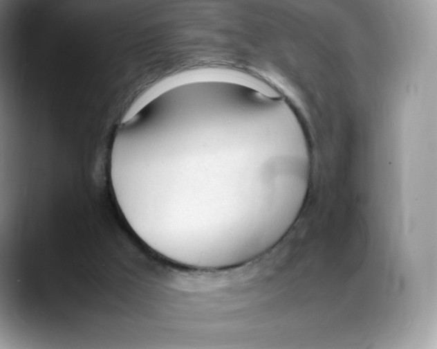 X0000088050009200706081638