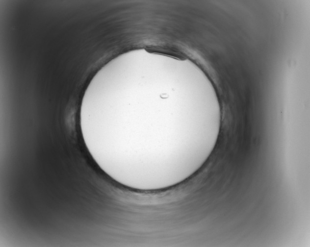 X0000088050010200706081638