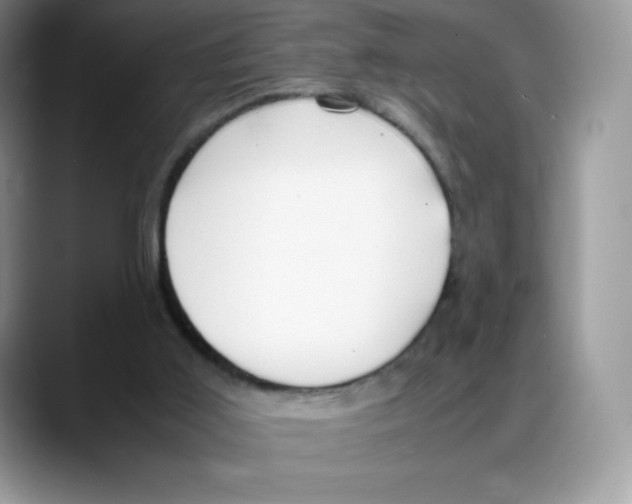X0000088050011200706081638