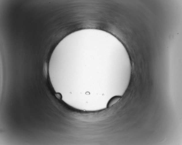 X0000088050013200706081638