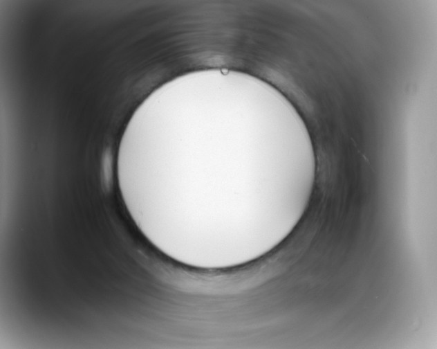 X0000088050014200706081638