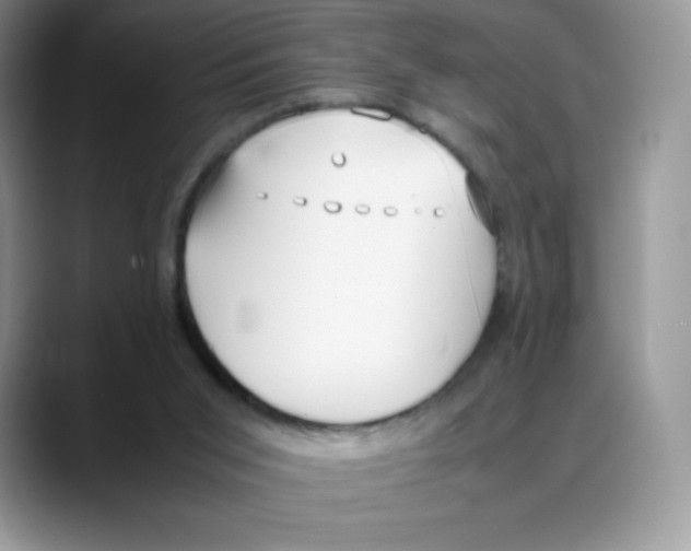 X0000088050015200706081638