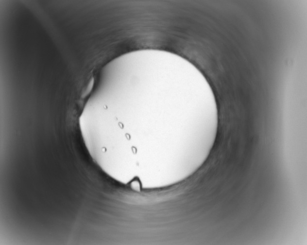 X0000088050017200706081638