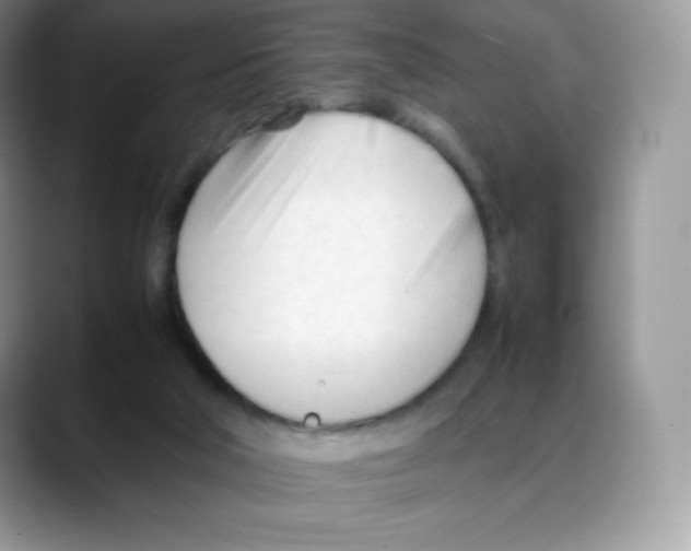 X0000088050018200706081638