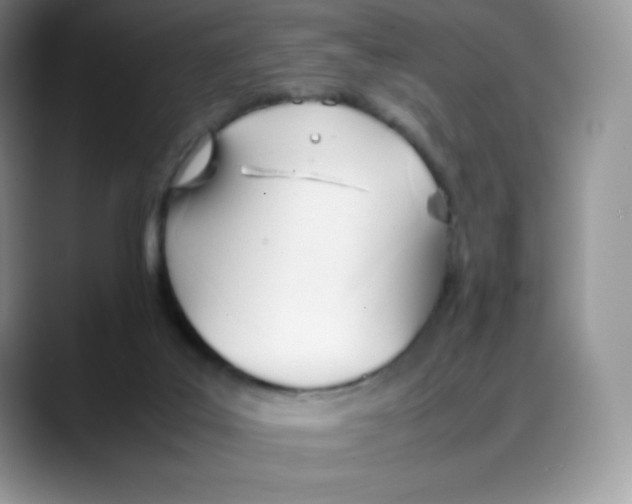 X0000088050019200706081638