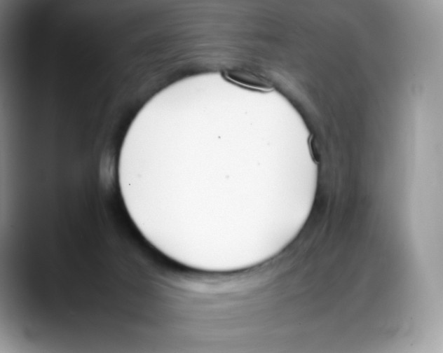 X0000088050021200706081638
