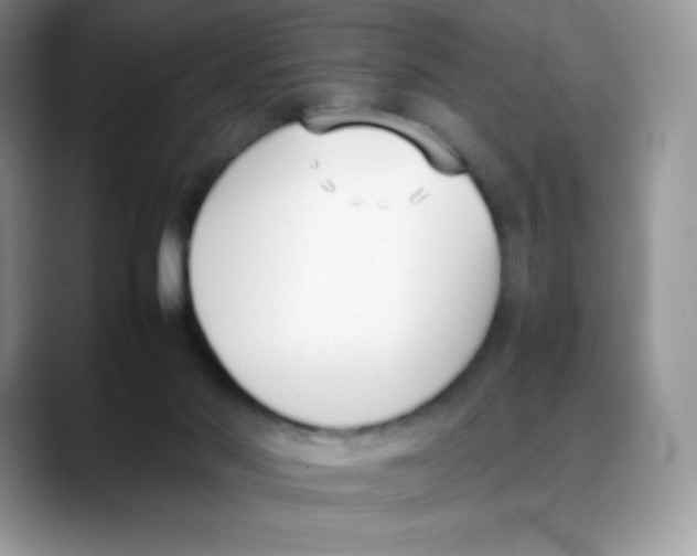 X0000088050022200706081638