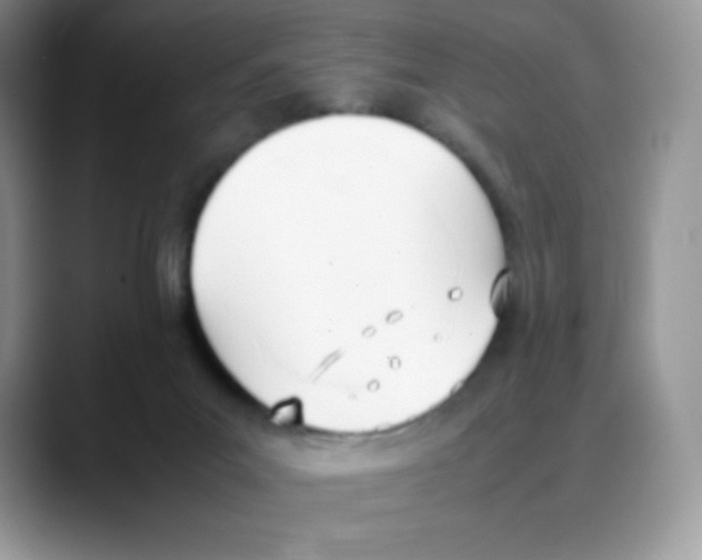 X0000088050023200706081638