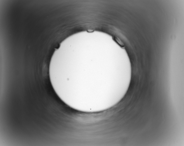 X0000088050025200706081638