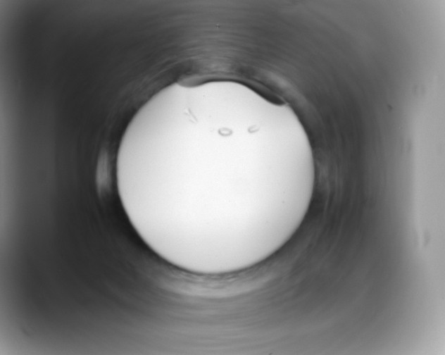 X0000088050026200706081638
