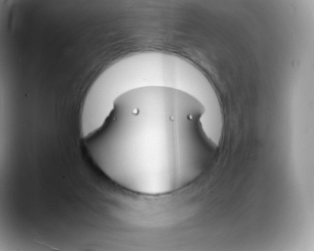 X0000088050027200706081638