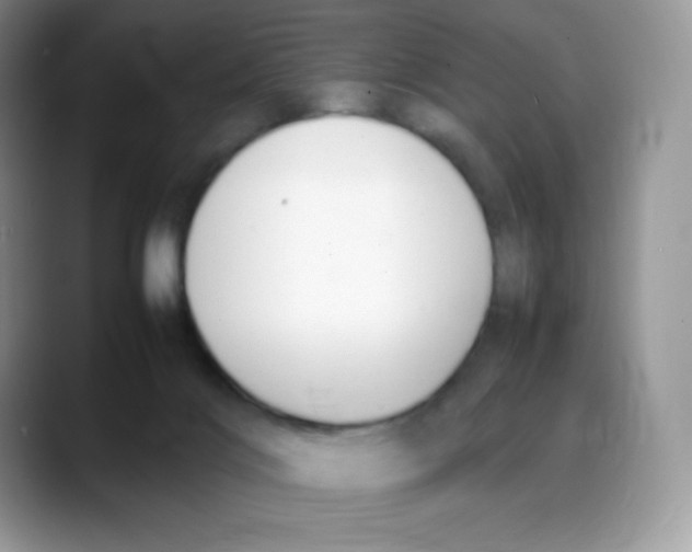 X0000088050028200706081638