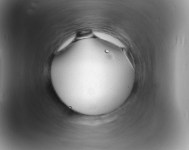 X0000088050029200706081638