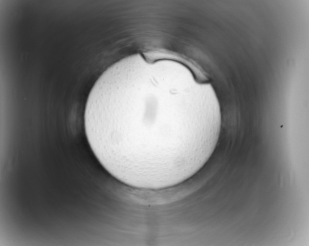 X0000088050030200706081638