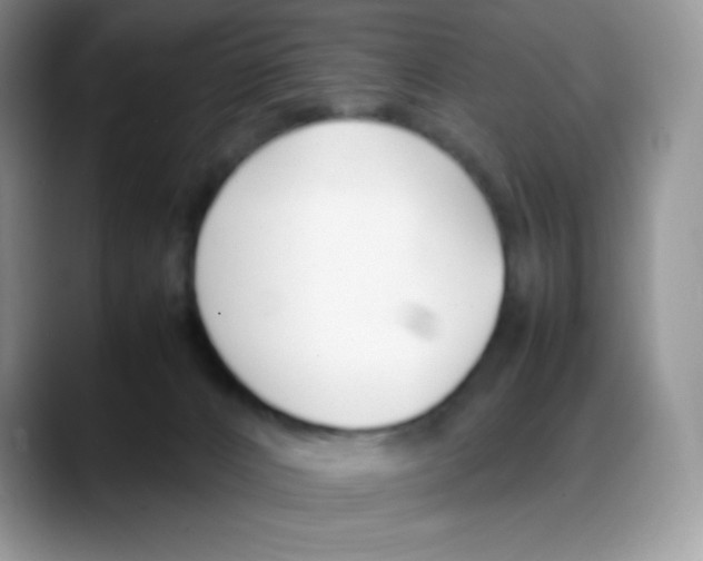 X0000088050032200706081638