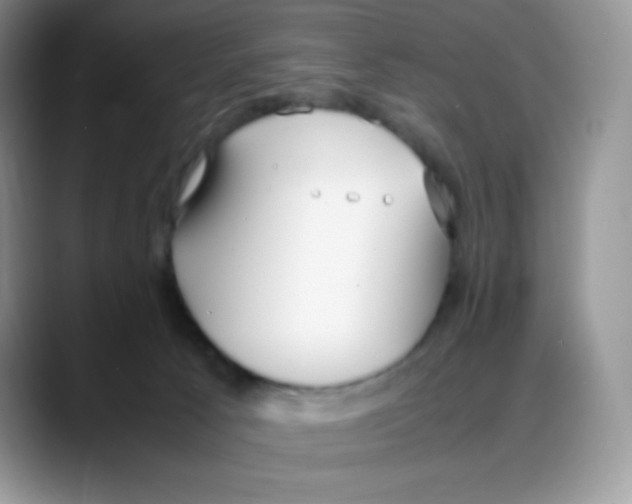 X0000088050033200706081638