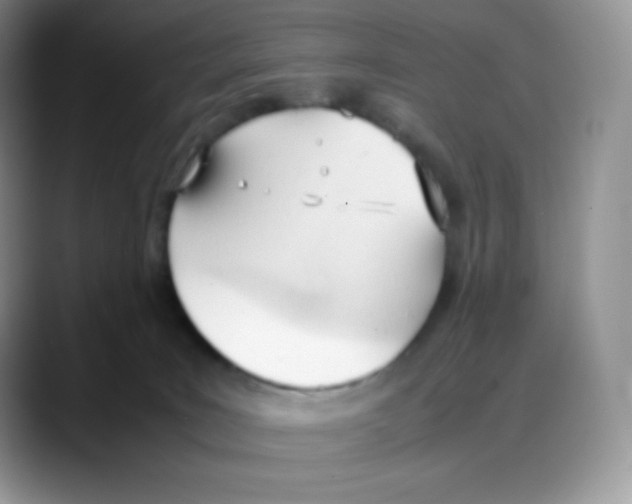 X0000088050035200706081638