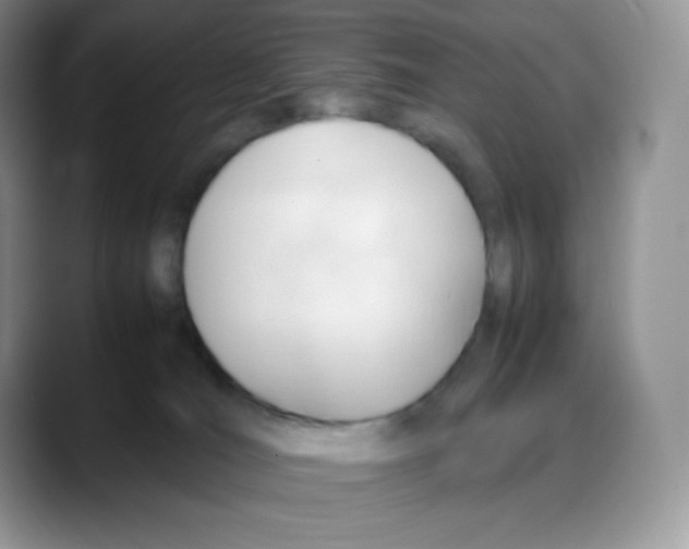 X0000088050036200706081638