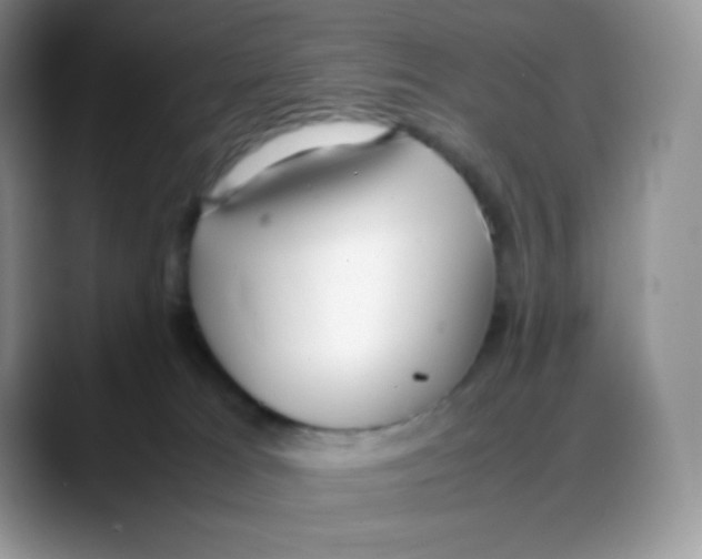 X0000088050037200706081638
