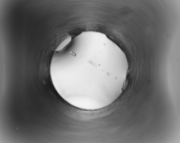 X0000088050039200706081638