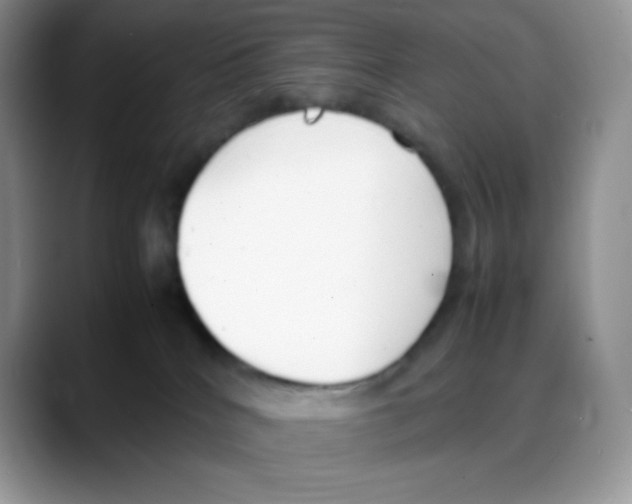 X0000088050040200706081638