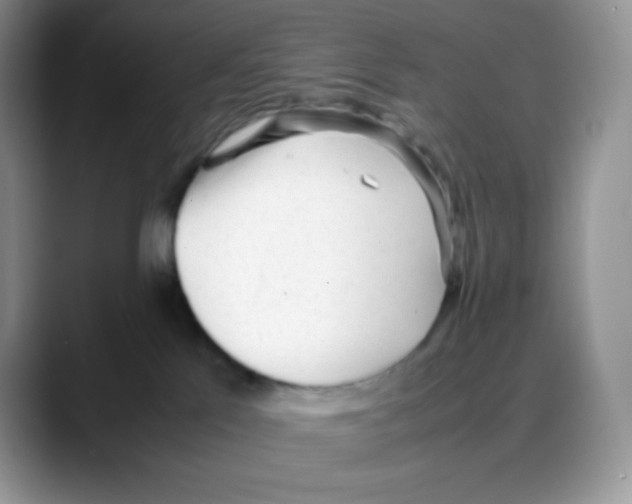 X0000088050041200706081638