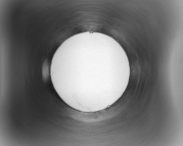 X0000088050042200706081638