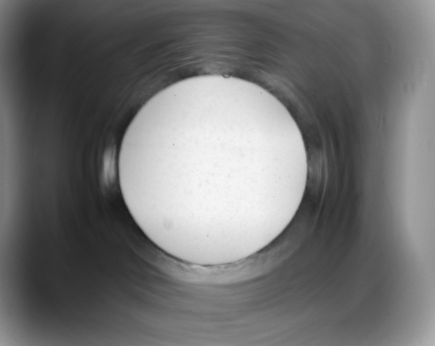 X0000088050046200706081638