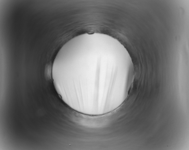 X0000088050047200706081638