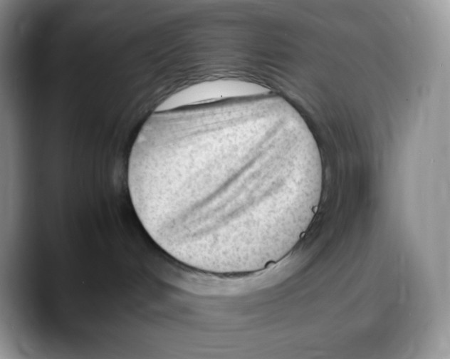 X0000088050048200706081638