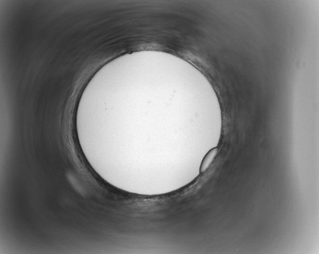 X0000088050049200706081637