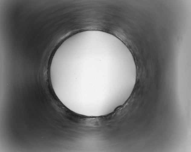 X0000088050050200706081637