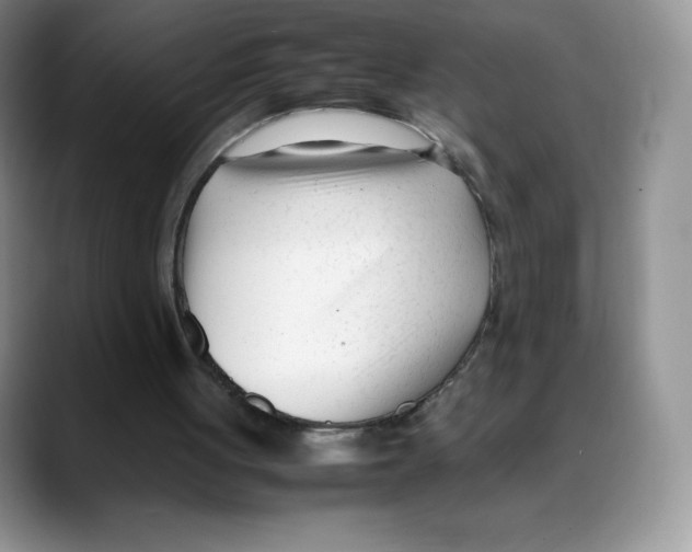 X0000088050051200706081637