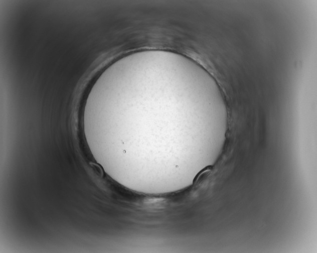 X0000088050055200706081637