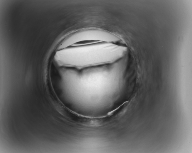 X0000088050056200706081637