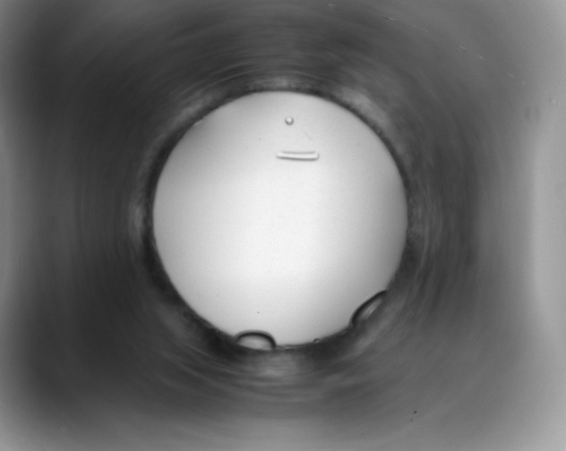 X0000088050063200706081638