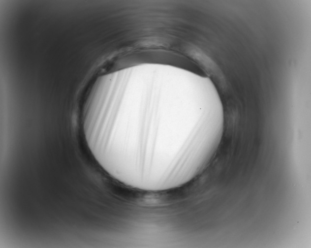 X0000088050064200706081638