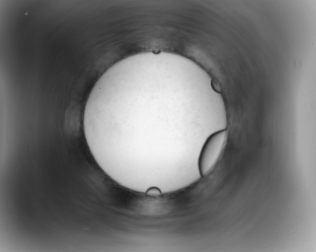 X0000088050065200706081638