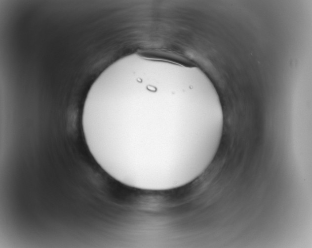 X0000088050066200706081638