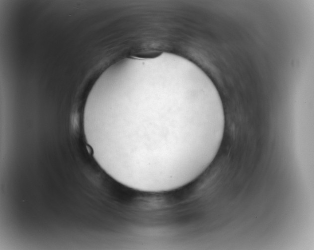 X0000088050067200706081638