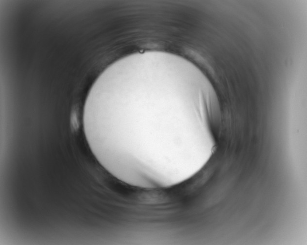 X0000088050069200706081638