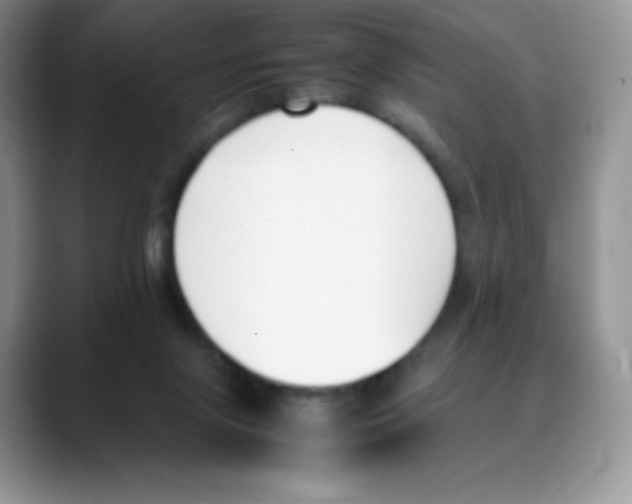 X0000088050071200706081638