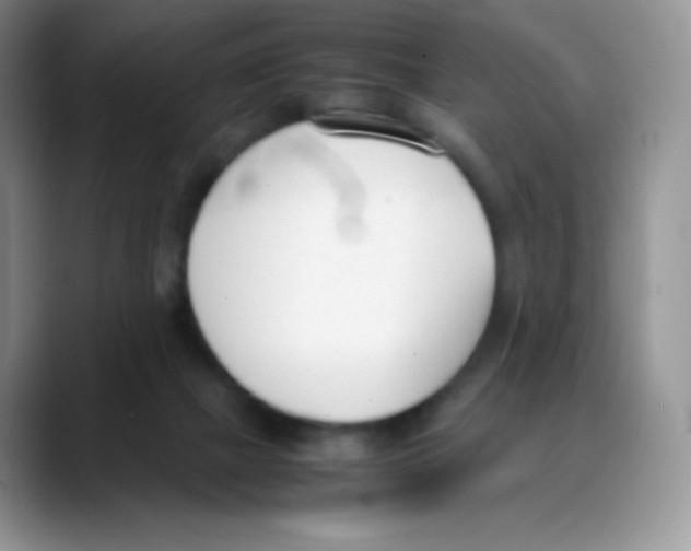 X0000088050073200706081638