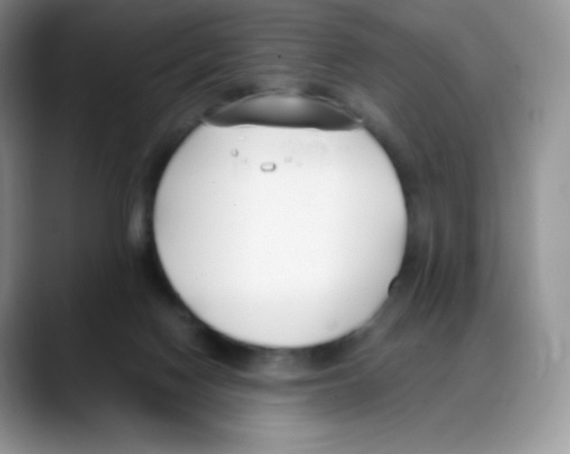 X0000088050074200706081638