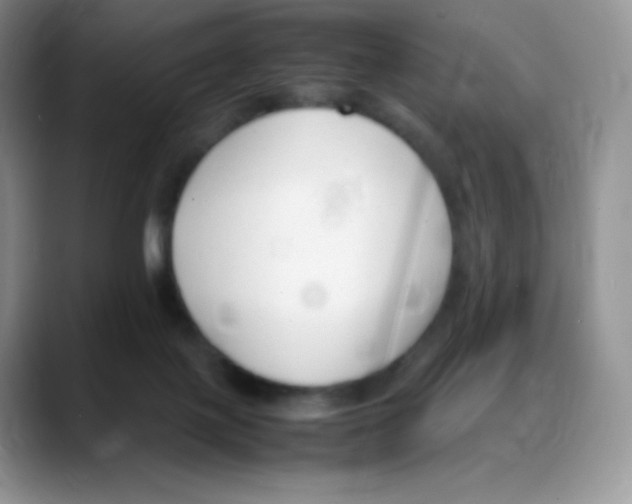 X0000088050075200706081638