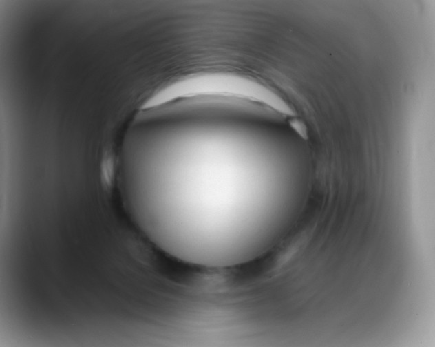 X0000088050076200706081638