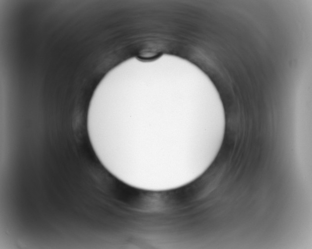 X0000088050079200706081638