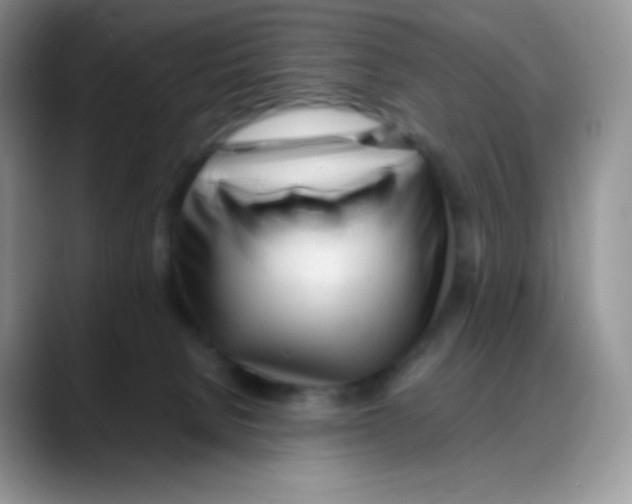 X0000088050080200706081638
