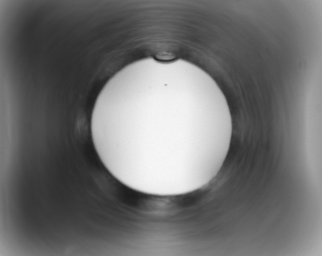 X0000088050086200706081638