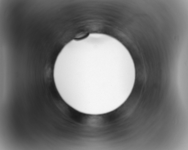 X0000088050087200706081638
